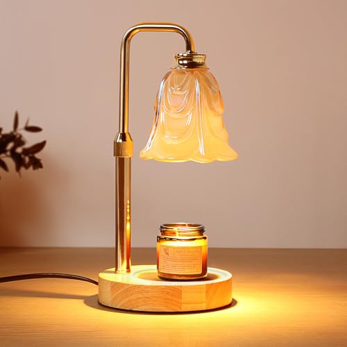 Droyek Candle Warmer Lamp with Timer