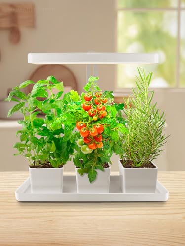 TORCHSTAR Indoor Herb Garden with LED Grow Light, Height Adjustable, 20W Growing System with Automatic Timer, CRI 95+, Full Spectrum Plant Light for Seeds, Vegetation, Home, White, No Pots or Plants