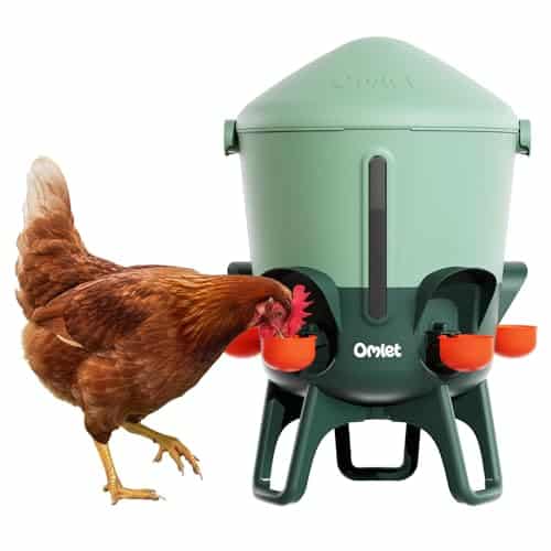 Omlet Insulated Chicken Waterer
