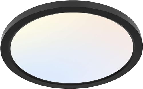 hykolity 12 Inch LED Round Flat Panel Light