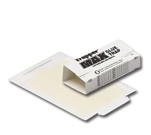 Trapper Max Glue Traps