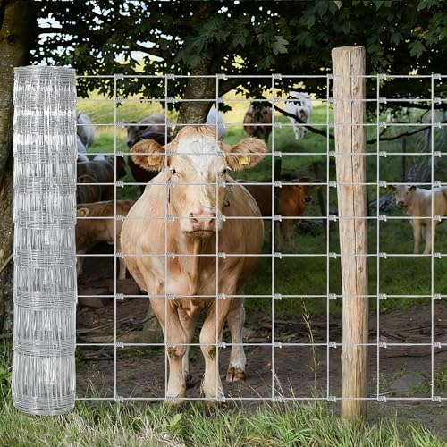 Livestock Fence