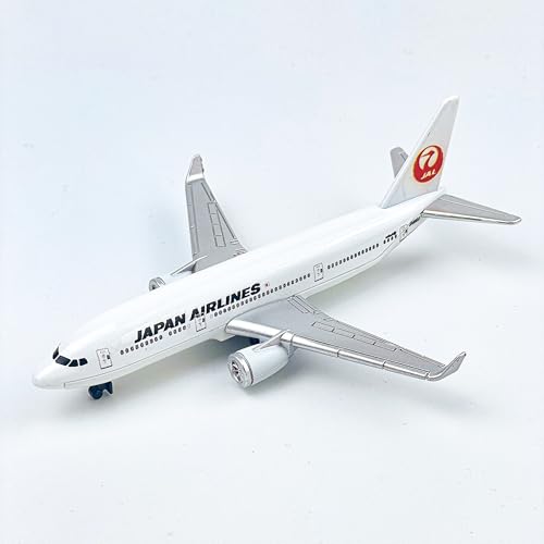 AVIAMUSE Japan Airplane Model