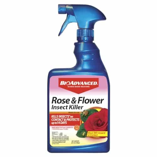 BioAdvanced Rose and Flower Insect Killer