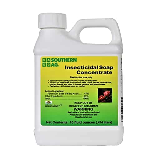 Southern Ag Insecticidal Soap Concentrate