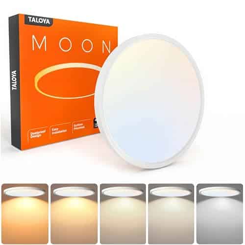 TALOYA 12 Inch Flush Mount Ceiling Light, 20W 5CCT Selectable,3000K-6500K